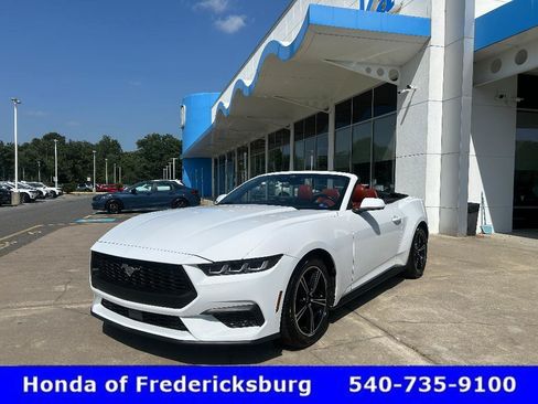 Used 2025 Ford Mustang Premium RWD image 1