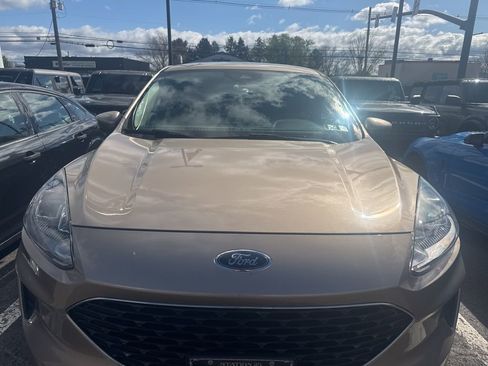 Used 2020 Ford Escape SE AWD/4WD image 2