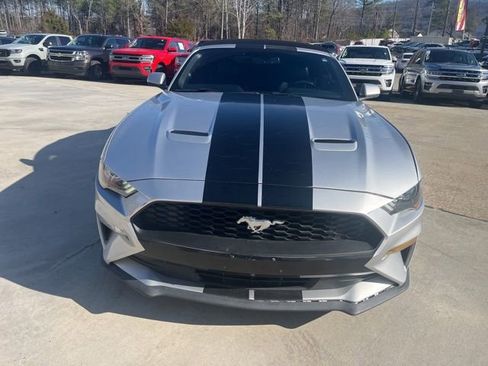 Used 2019 Ford Mustang Premium image 2