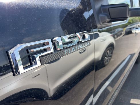 Used 2019 Ford F150 Platinum w/ Equipment Group 701A Luxury AWD/4WD image 6
