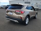 Used 2020 Ford Escape SE image 5