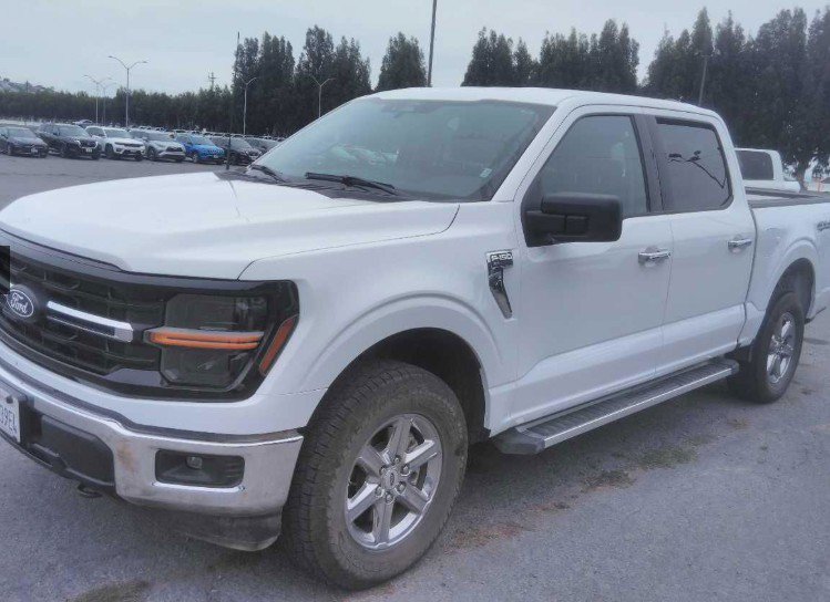 Used 2025 Ford F150 XLT w/ Equipment Group 301A Standard AWD/4WD image 3