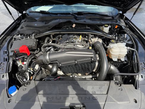 Certified 2025 Ford Mustang Premium image 20