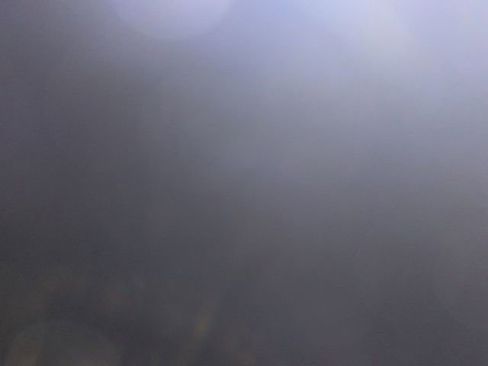 New 2025 Subaru BRZ Limited image 41