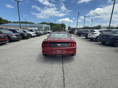 Used 2015 Ford Mustang Premium w/ Equipment Group 201A RWD image 6