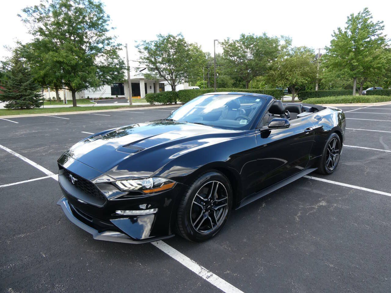 Used 2019 Ford Mustang Premium RWD image 9