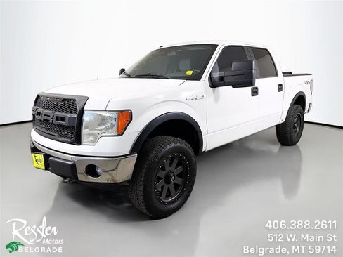 Used 2013 Ford F150 XLT AWD/4WD image 1