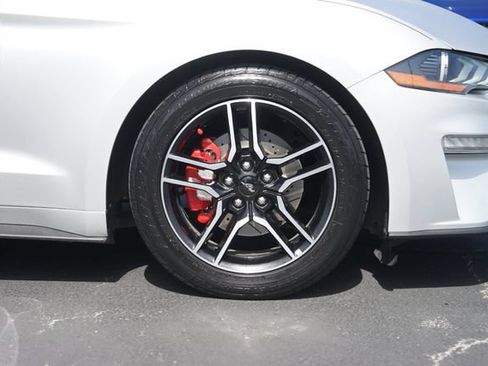 Used 2019 Ford Mustang Premium RWD image 4