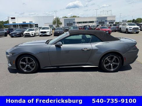 Used 2025 Ford Mustang Premium RWD image 3