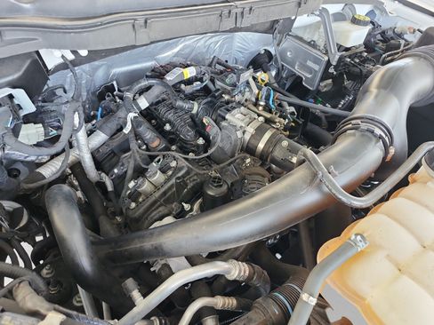 Certified 2023 Ford F150 XL w/ STX Appearance Package RWD image 21