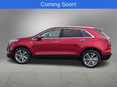 Used 2024 Cadillac XT5 Premium Luxury AWD/4WD image 3
