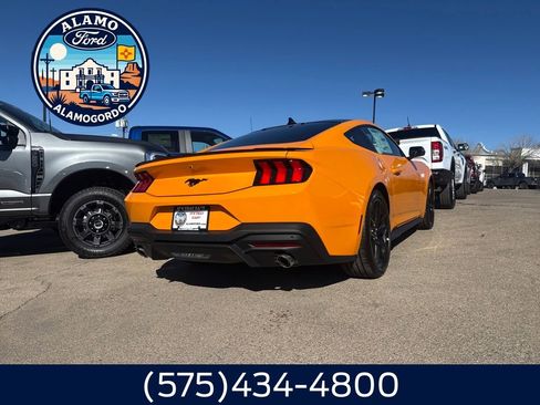 New 2026 Ford Mustang Coupe w/ Mustang Nite Pony Package RWD image 13