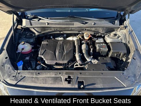 Used 2023 Hyundai Santa Fe Calligraphy w/ Cargo Package image 23