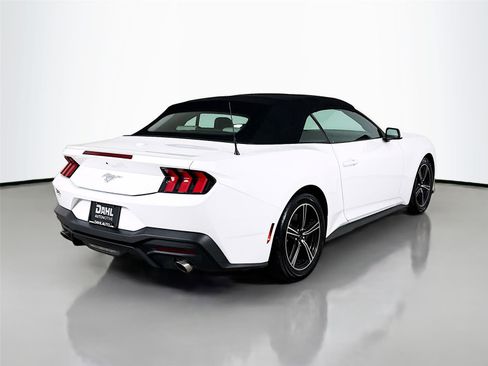 Used 2024 Ford Mustang Premium image 7