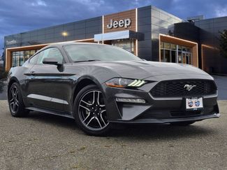 Used 2019 Ford Mustang Coupe w/ Equipment Group 101A video 1