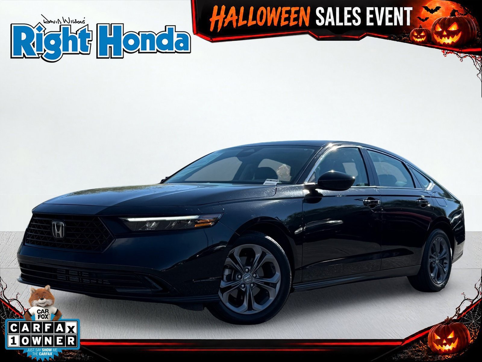 Used 2024 Honda Accord EX image 1