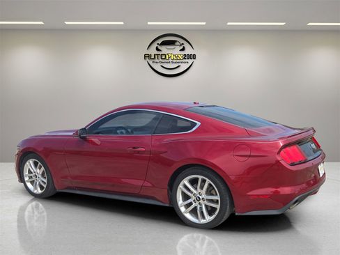 Used 2017 Ford Mustang Premium w/ Pony Package image 3