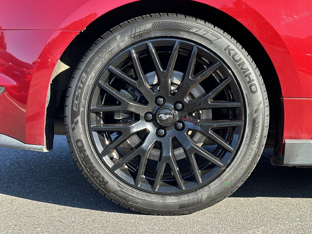 Used 2019 Ford Mustang GT Premium w/ GT Performance Package RWD image 15