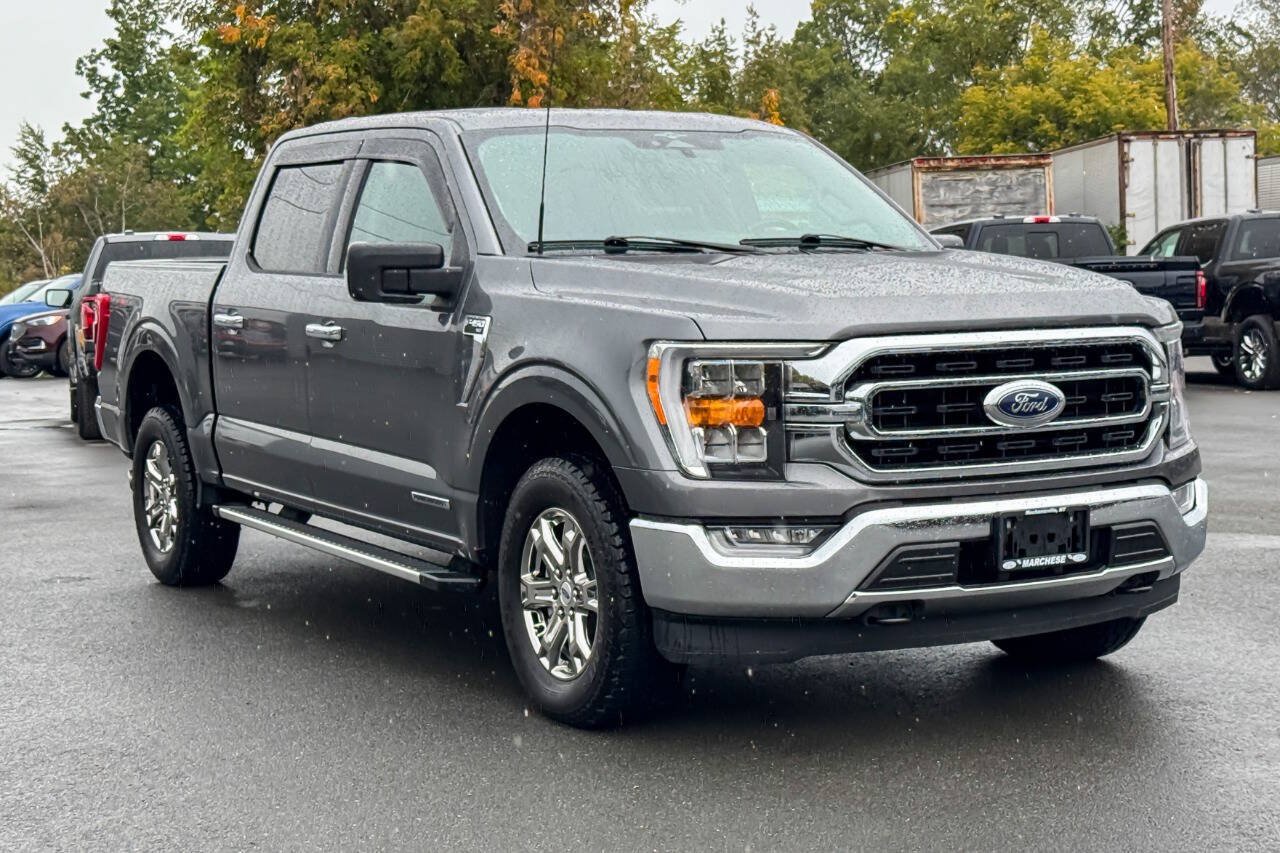 Used 2023 Ford F150 XLT w/ Equipment Group 302A High AWD/4WD image 1