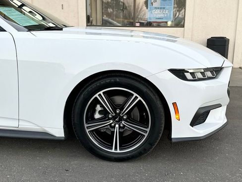 Used 2024 Ford Mustang Premium image 2