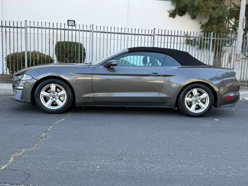 Used 2019 Ford Mustang Convertible RWD image 4