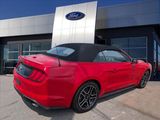 Certified 2022 Ford Mustang Premium image 2