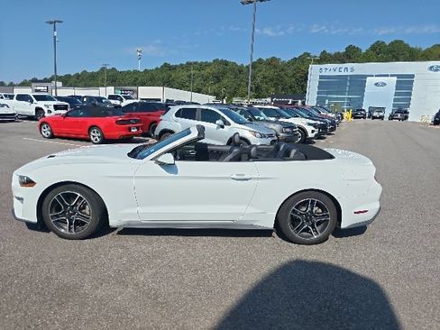 Used 2021 Ford Mustang Premium RWD image 6