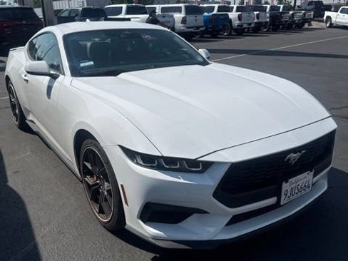 Used 2024 Ford Mustang Premium w/ 2.3L High Performance Package RWD image 3