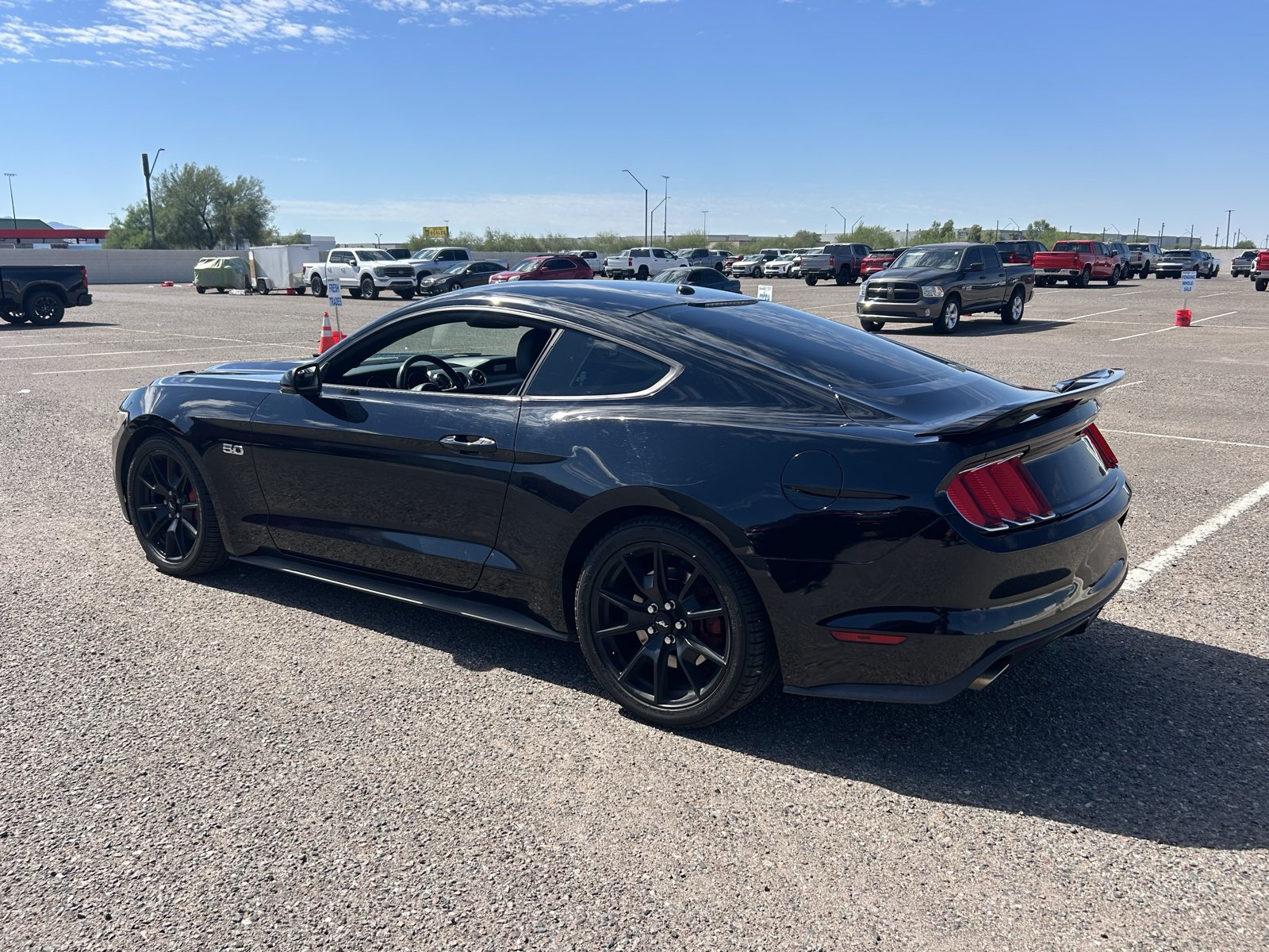 Used 2015 Ford Mustang GT Premium w/ 50 Years Appearance Package RWD image 3