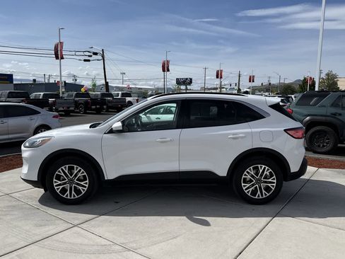 Used 2020 Ford Escape SEL AWD/4WD image 2
