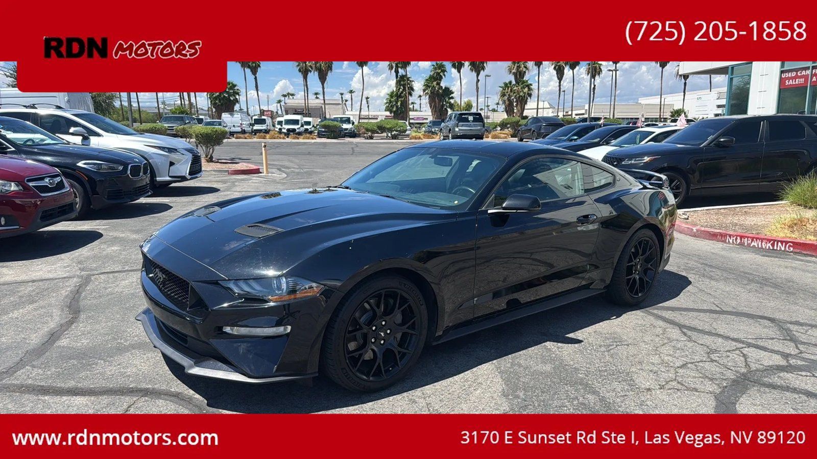 Used 2019 Ford Mustang Premium w/ Ecoboost Performance Package RWD image 3