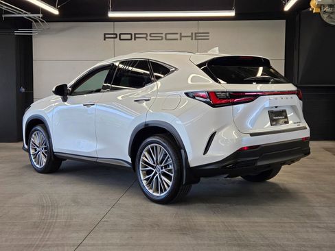 Used 2025 Lexus NX 350h AWD w/ Cold Area Package image 3