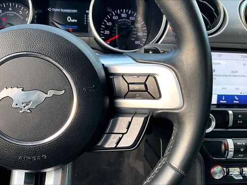 Used 2019 Ford Mustang Coupe w/ Equipment Group 101A RWD image 22