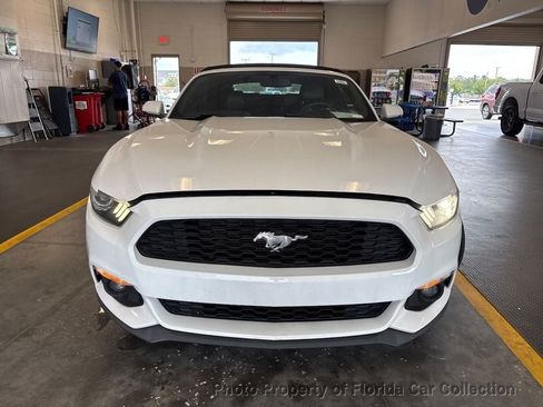 Used 2017 Ford Mustang Premium RWD image 5