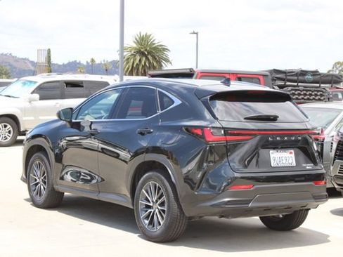 Certified 2025 Lexus NX 350h AWD w/ Cold Area Package image 19