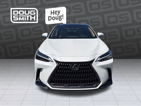 Used 2025 Lexus NX 350h AWD w/ Cold Area Package image 8