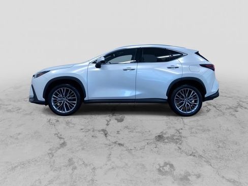 Used 2024 Lexus NX 350h AWD w/ Vision Package image 7