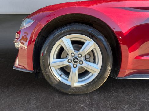 Used 2019 Ford Mustang Convertible RWD image 14