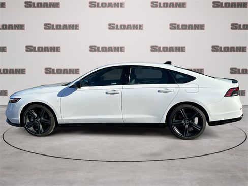 Used 2024 Honda Accord Sport image 2