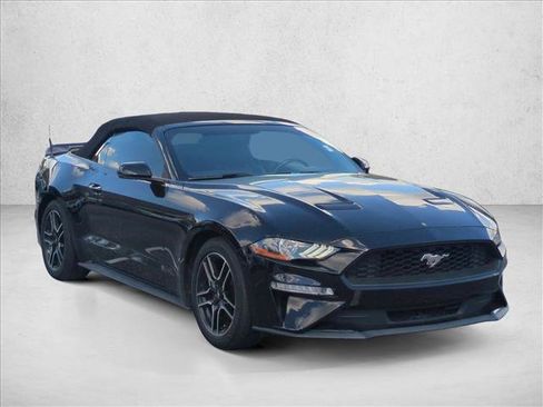 Used 2018 Ford Mustang Premium image 3