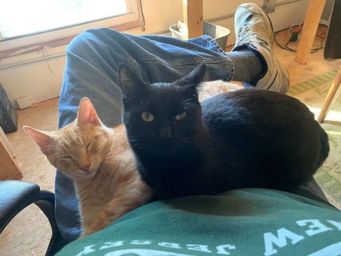 Used 2009 Ford F150 Lariat image 17