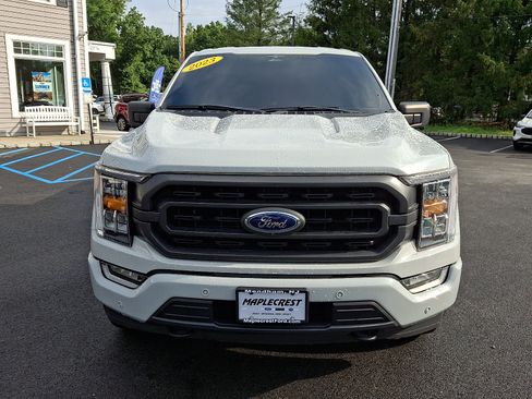 Used 2023 Ford F150 XLT w/ Equipment Group 302A High AWD/4WD image 2
