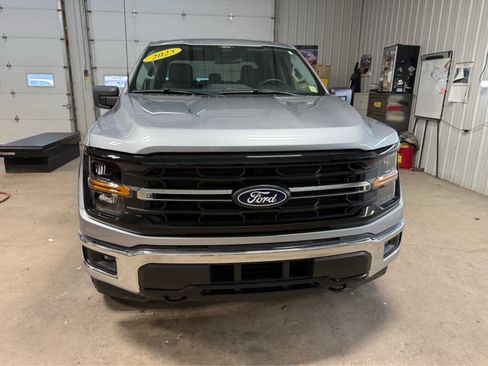 Used 2025 Ford F150 XLT w/ Equipment Group 301A Standard image 3