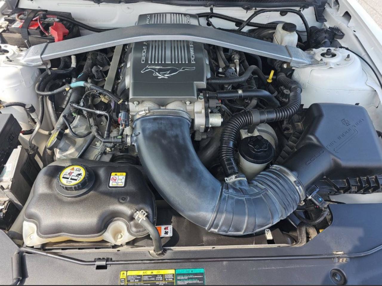 Used 2010 Ford Mustang GT RWD image 6
