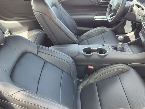 New 2025 Ford Mustang GT Premium w/ Mustang Nite Pony Package image 16