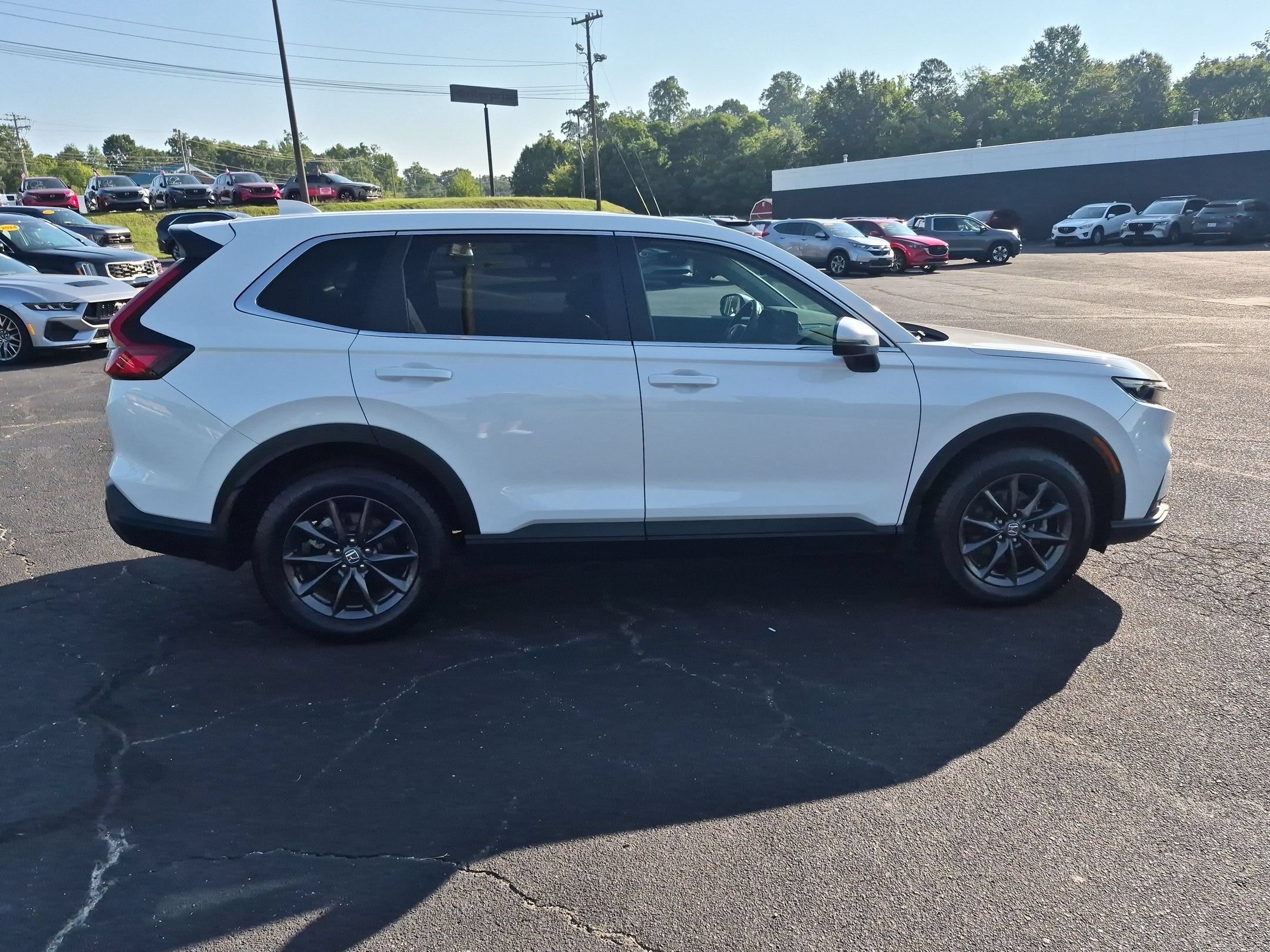 Used 2026 Honda CR-V EX-L image 7