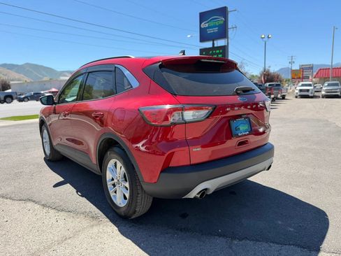 Used 2020 Ford Escape SE AWD/4WD image 5