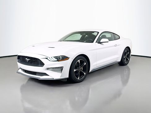 Used 2019 Ford Mustang Coupe RWD image 4