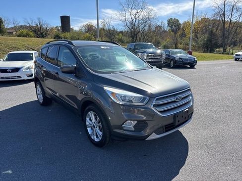 Used 2019 Ford Escape SEL image 2