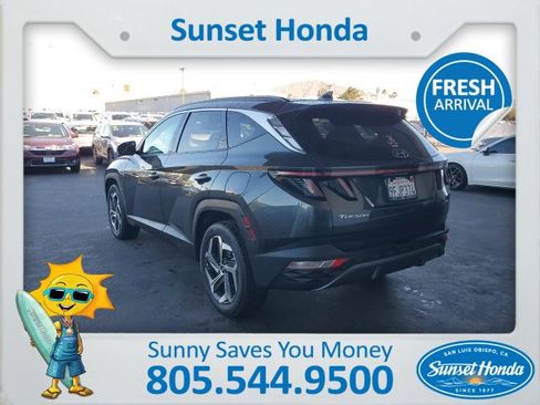 Used 2023 Hyundai Tucson Limited image 7